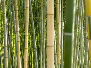 Is bamboo flammable