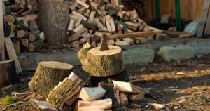 Can you burn cedar in a wood stove