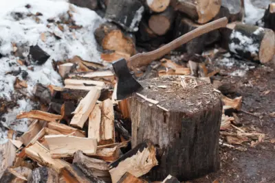 Is maple good firewood