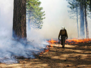 How to do a controlled burn