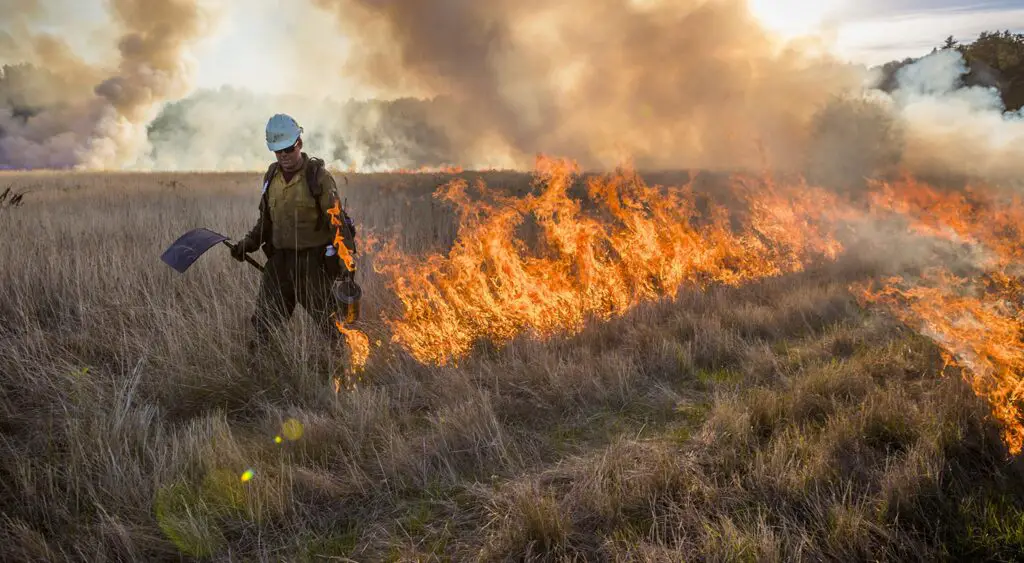 What Is The Definition Of Controlled Burning