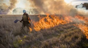 How to do a controlled burn
