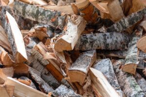Is birch good firewood