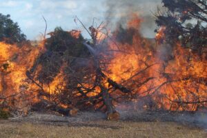 how to safely burn brush 