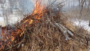 how to safely burn brush 