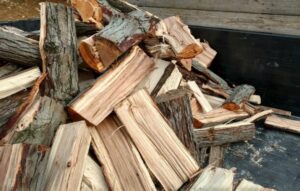Is hickory good for firewood