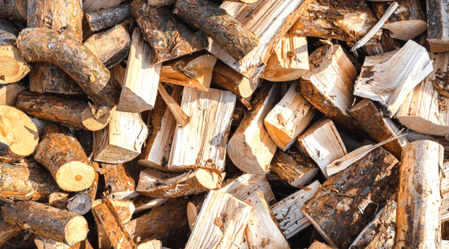 Is pine good for firewood