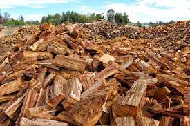 Is Eucalyptus good firewood