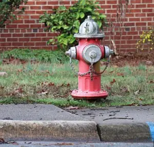 How much does a fire hydrant cost