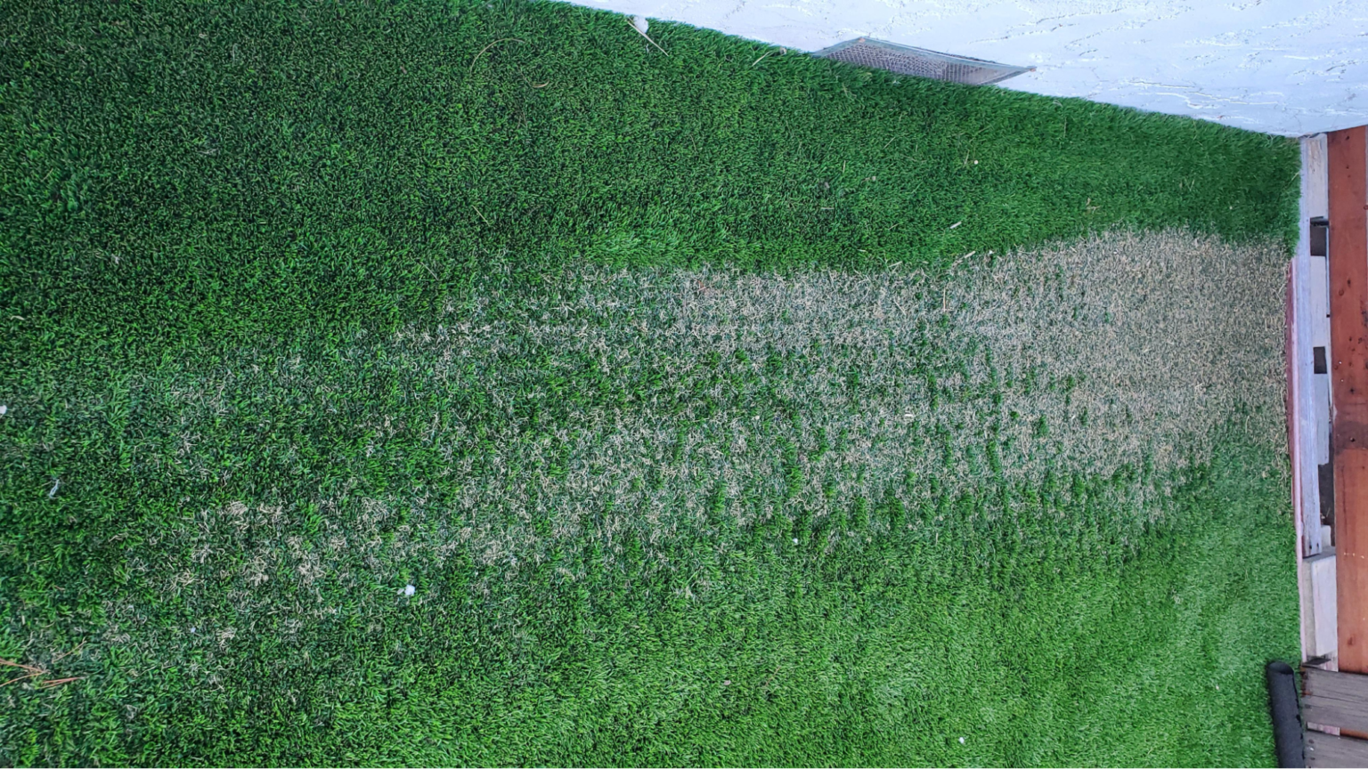 Is Turf Flammable? Answering The Burning Question! Fire safety support